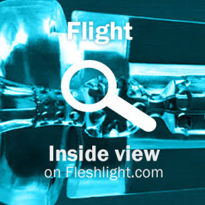 See inside the Fleshlight Flight Pilot