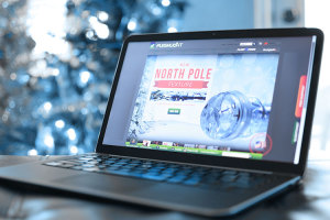 Fleshlight North Pole edition for the holidays, 2014.