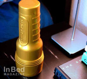 Fleshlight stamina training unit Gold Case